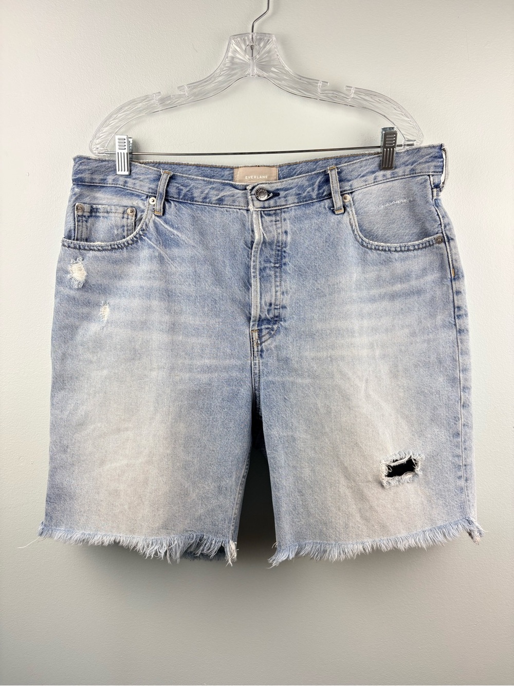 Everlane The Cheeky Long Short Denim Jean Shorts Frayed Hem Distressed Sz 33